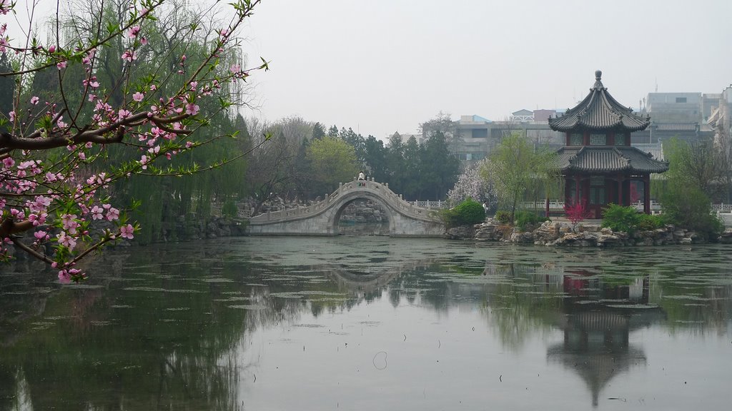 Ancient Lotus Pool，保定古莲花池 by 刘红石 liuhs