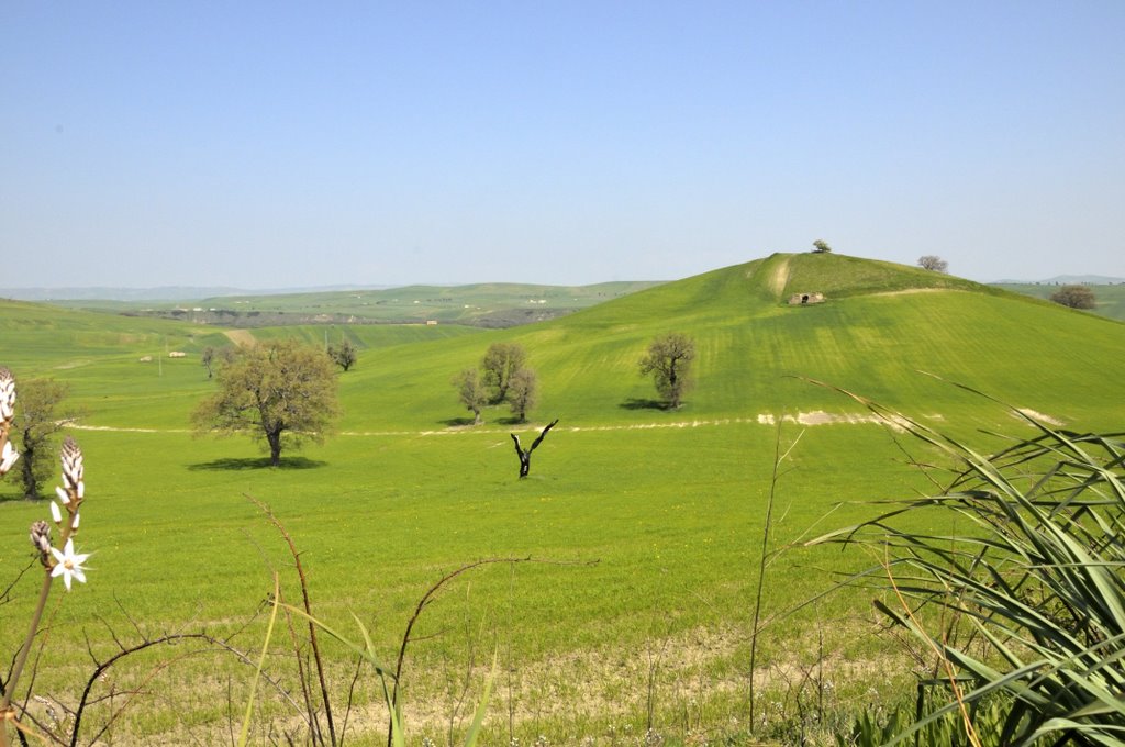 Dopo S.Chirico (countryside near S.Chirico) by apas