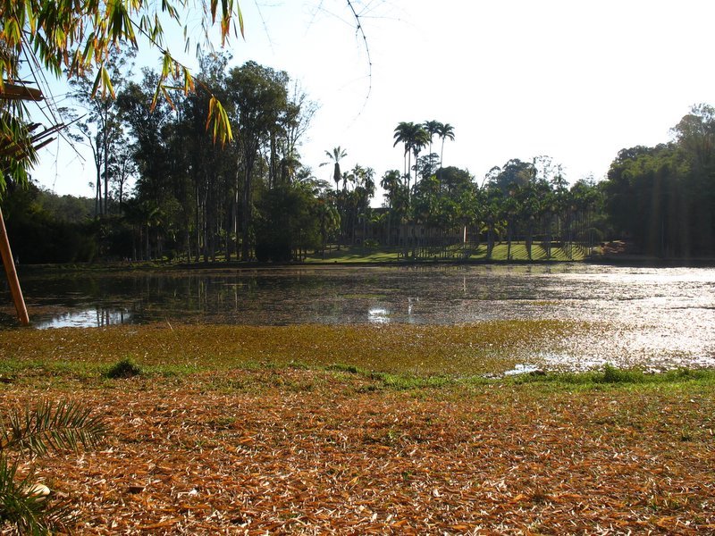 Vista do Lago do Horto by Wagner Pelarigo