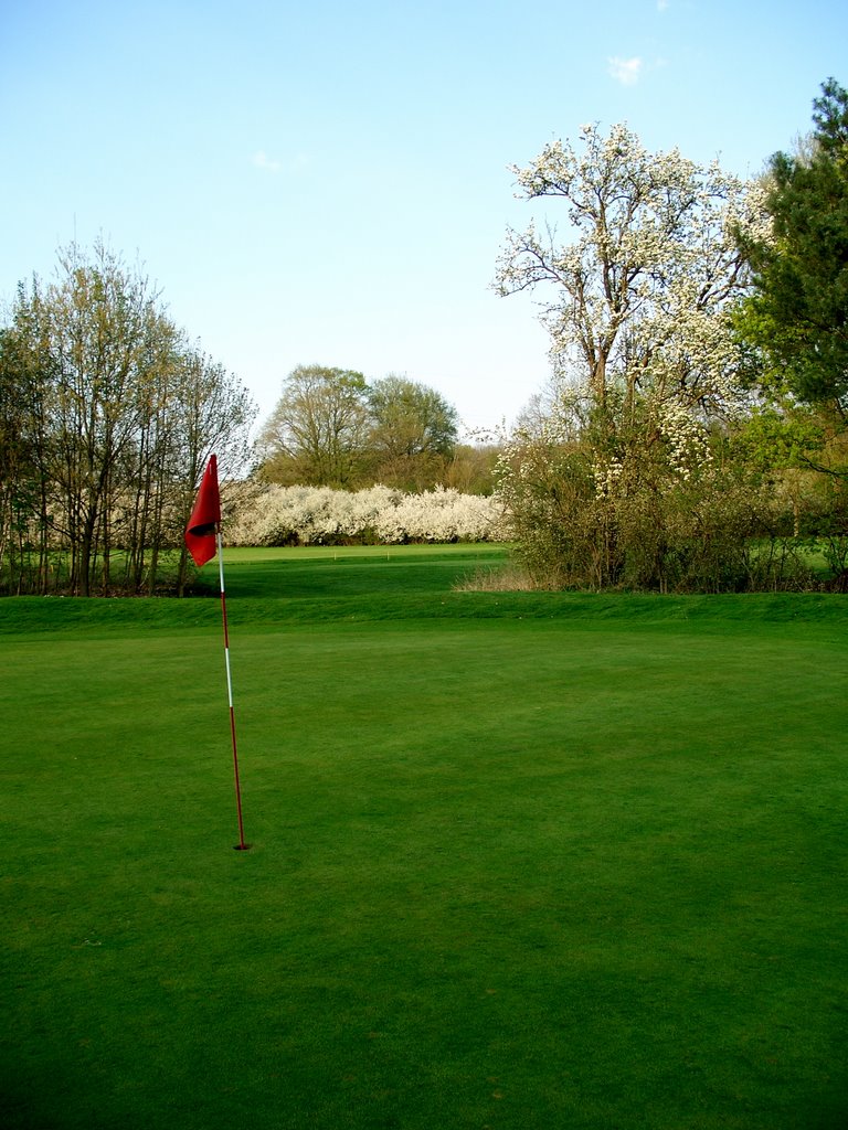 Golf Club Hanau Wilhelmsbad - Pinflag No 11 in Spring Time 2009 by Dieter Hoffmann