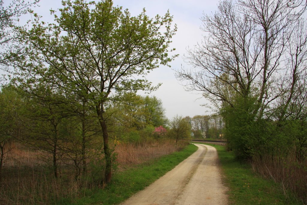 Niederbühl by Frank Kiefer