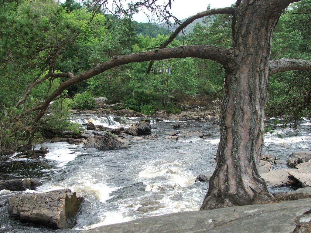 Falls of Dochart by Roy Douglas