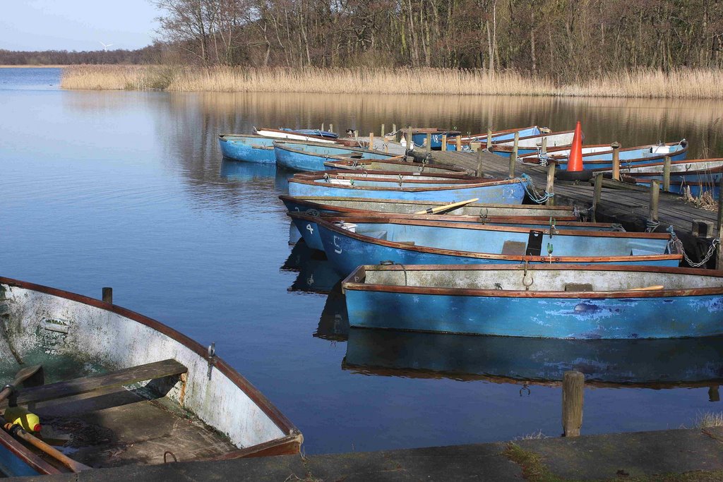 Ormesby Little Broad by GCHURRELL