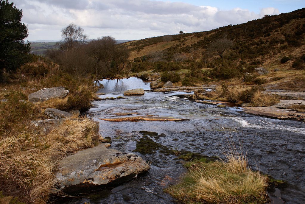 Shilley Pool of Blackaton Brook, Dartmoor. by Andrew Head