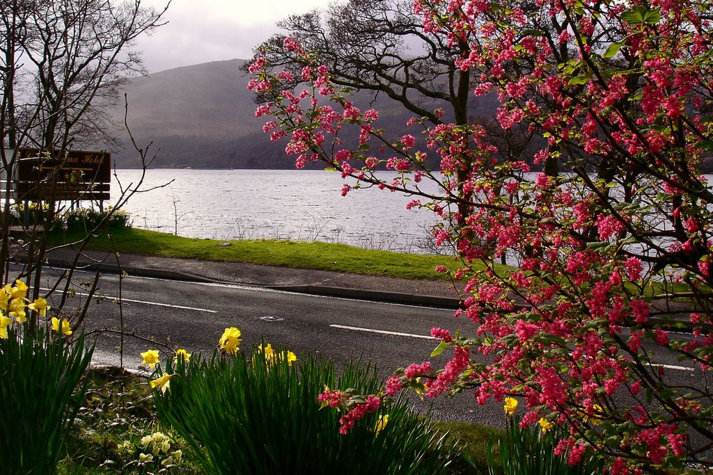 Spring in Fort William by Horta F