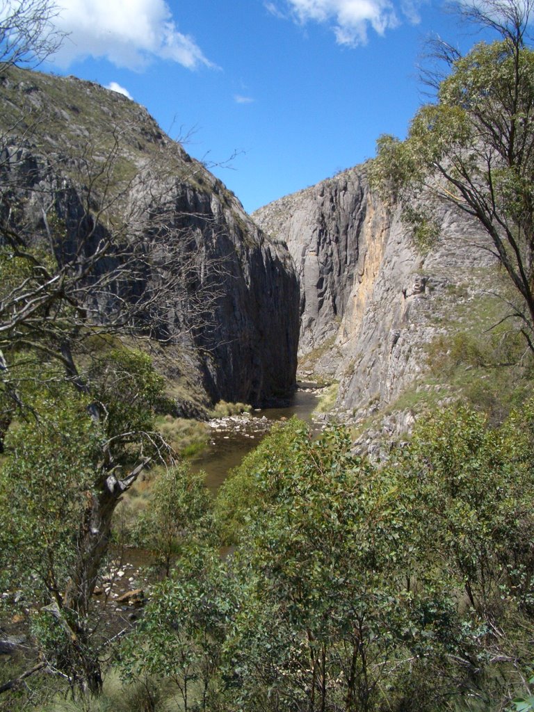 Clarke Gorge by T Johnson