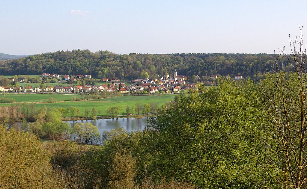 Blick vom Vogelherd auf Teublitz/Saltendorf im Frühling 2009 by r.muenz