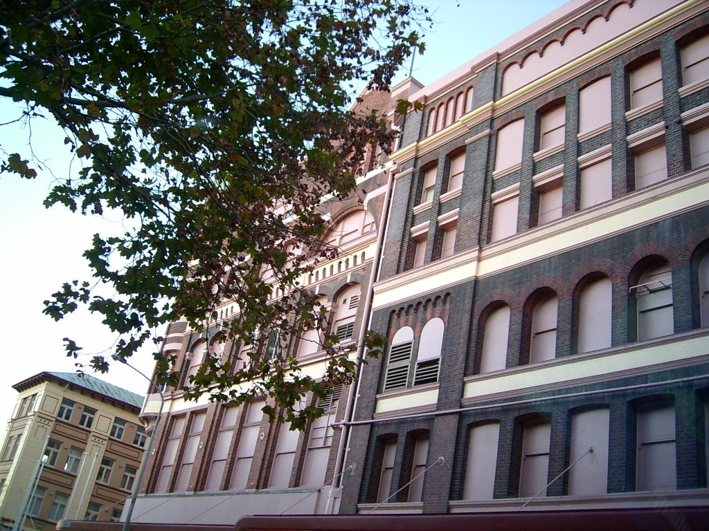 David Jones building, Perkins St, Newcastle by Peteza