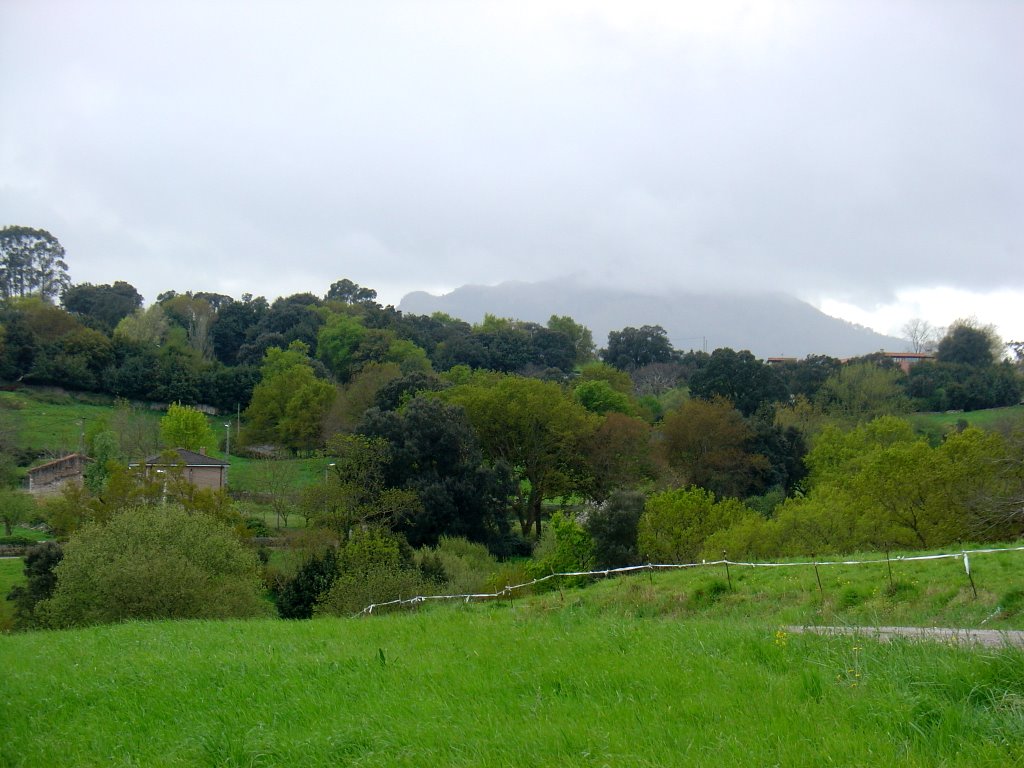 LA CAMPIÑA (1.300 l/m2 lluvia de media año) by SUAVIA/Miguel 1