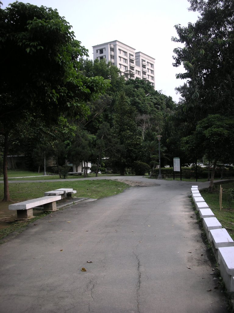 天母公園 Tianmu Park by susan curry