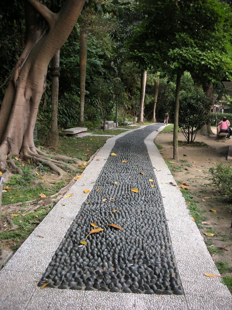 天母公園 Tianmu Park by susan curry