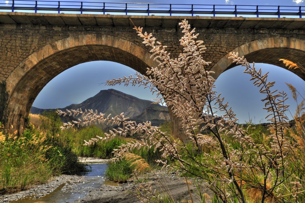 Puente de Tabernas, con autovia del mediterraneo by Juan Lax