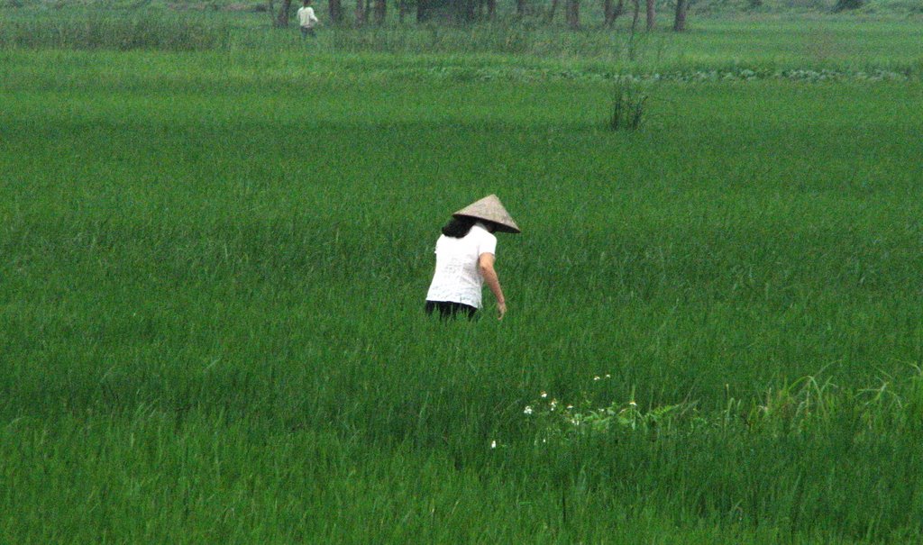 Thôn nữ thăm đồng by Tạ Minh Đức (Bút lún phún lông)