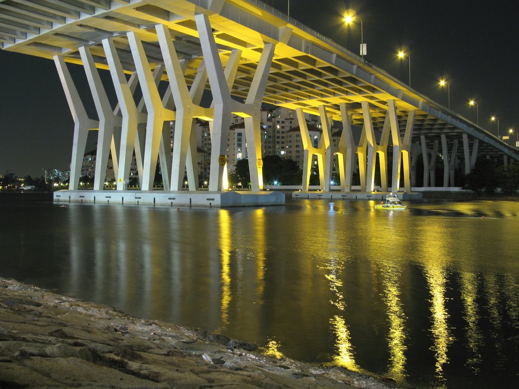 Sheares Bridge by greyclouser