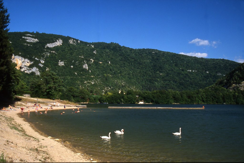 Lac de Coiselet et sa plage by Alain TREBOZ