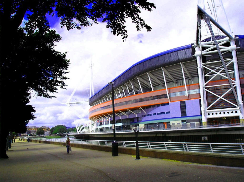 Cardiff, Millenium Stadium by MariuszTarapata