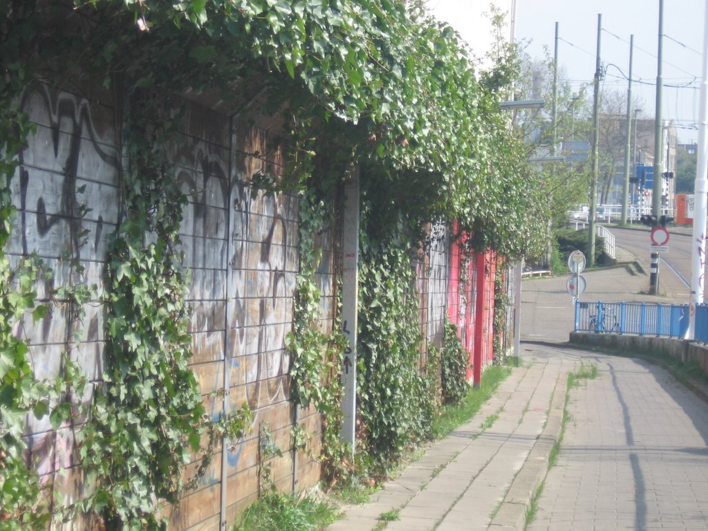 Delft, langs de Irenetramtunnel by gerrits