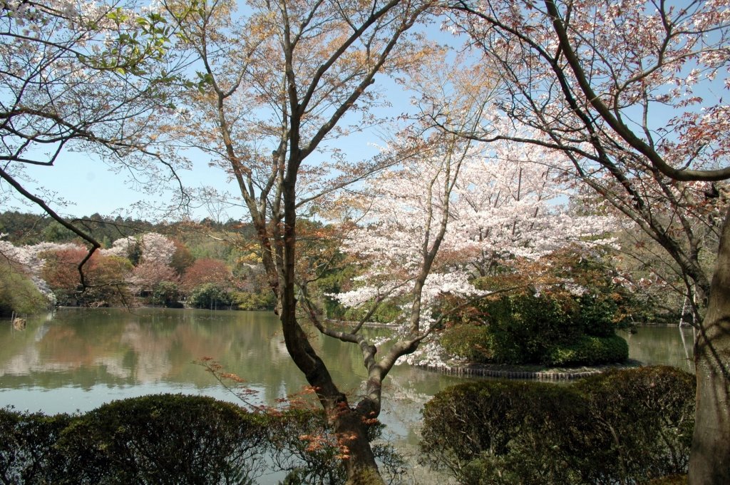 A mound in Japanese garden pond at Ryouanji temple by ayusann