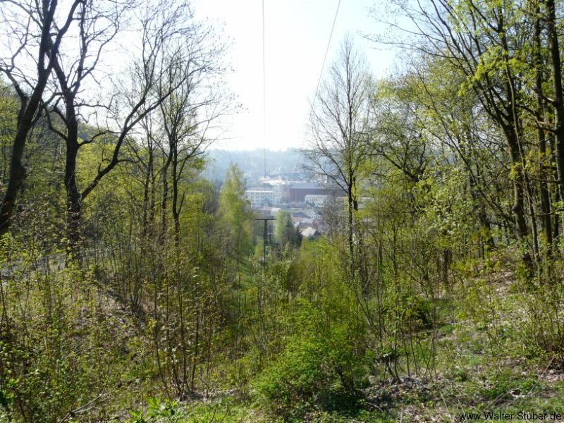 Meinsberg, Blick auf Waldheim by Walter Stuber