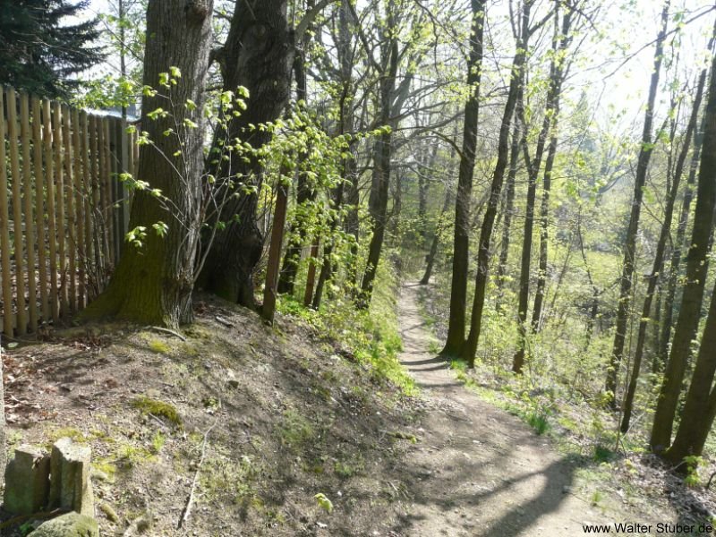 Meinsberg, Wanderweg zum Kreuzfelsen by Walter Stuber