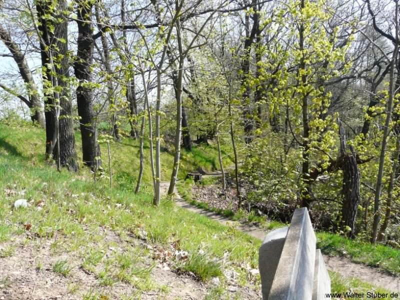 Meinsberg, Wanderweg zum Kreuzfelsen by Walter Stuber