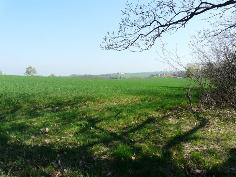 Meinsberg, Blick über die Felder by Walter Stuber