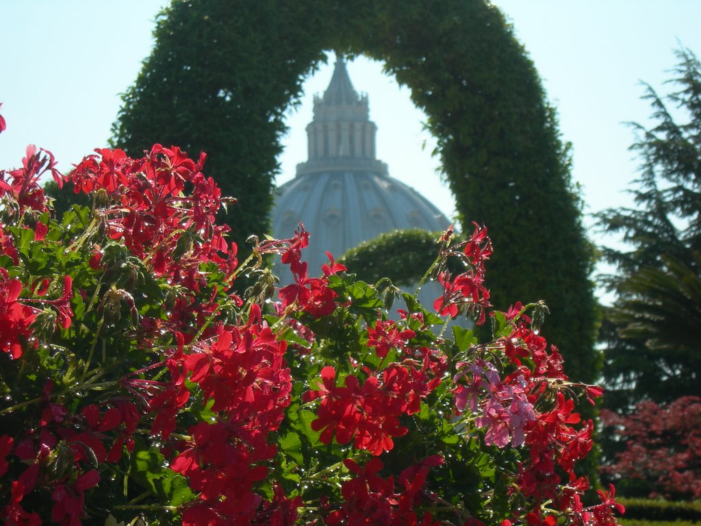 San pietro in fiore by Roberto Addei