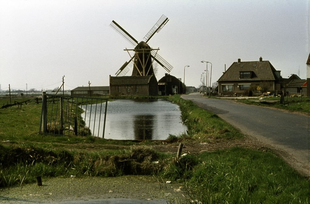 Nootdorp molen Windlust by Ed de Jong