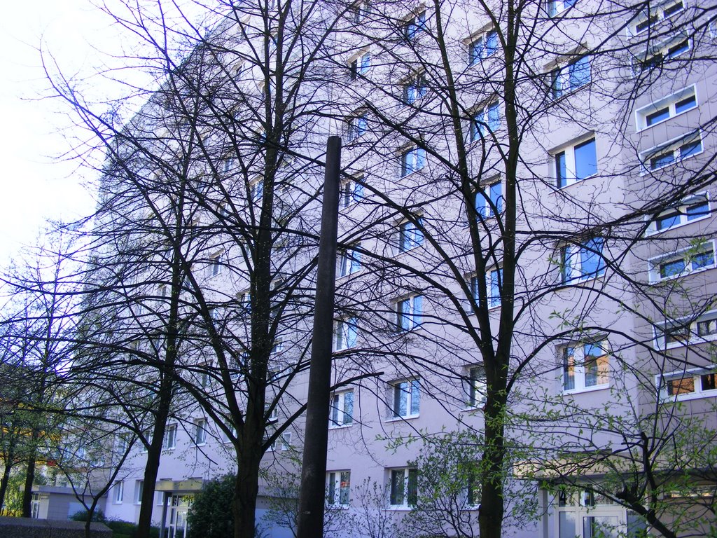 Sella-Hasse-Straße 45, 12687 Berlin-Marzahn by Fronti54