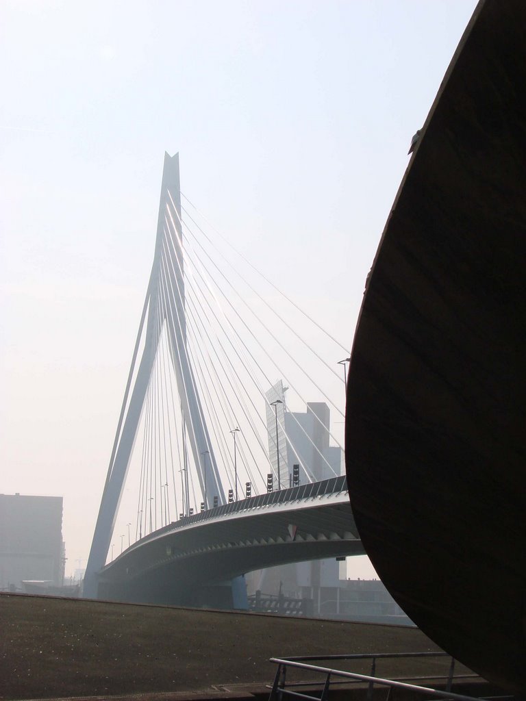 Erasmus Bridge by Christof Verboven