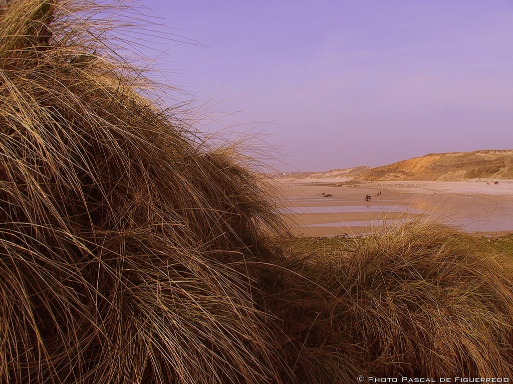 © dFP - La Pointe aux oies entre Wimereux et Ambleteuse by Pascal de Figuerredo