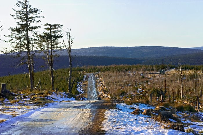 Wurmberg, Braunlage by neliakr