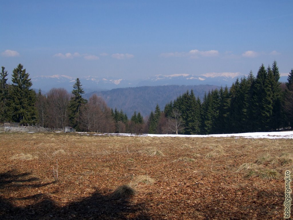 Kelemen-havasok a Barta-tetőről by bbb