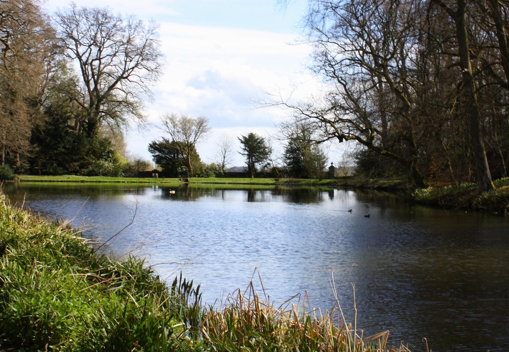 Garden Pond, Wallington, Northumberland by aligriff