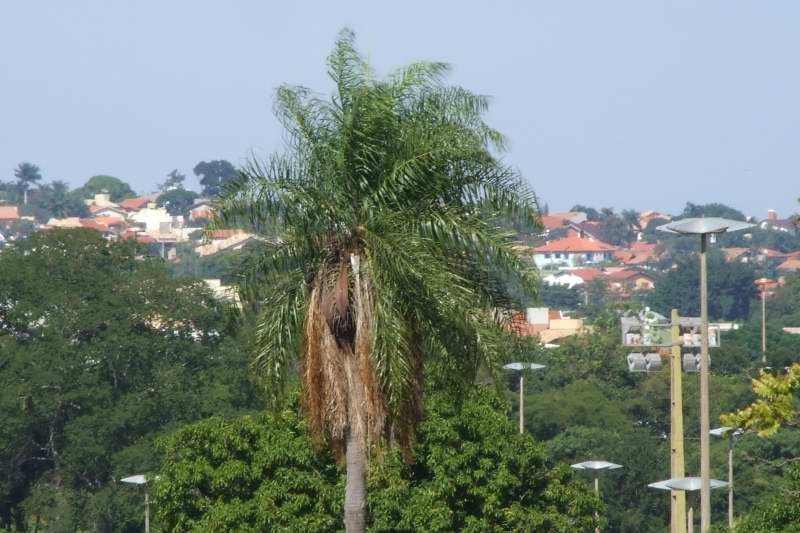 Parque nações indigenas by Mario Bueno - foto.