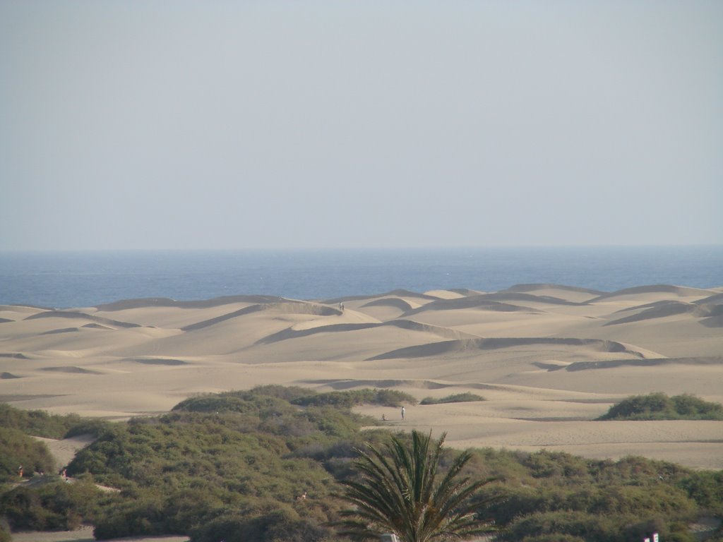 Maspalomas by correos