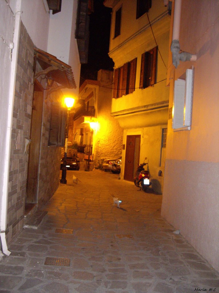 Kavala - Panagia-Cats on night stroll by Maria H-S