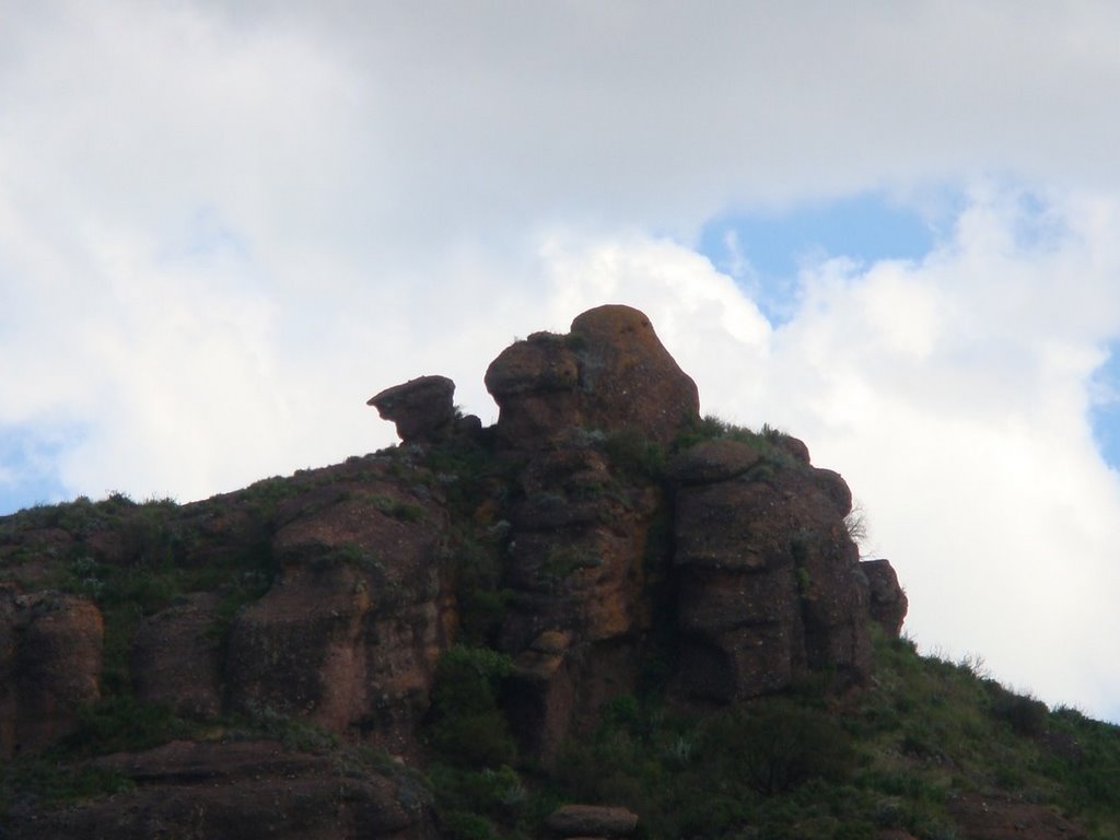 Los Terrones: El camello / Lautaro by Lautaro Tessi