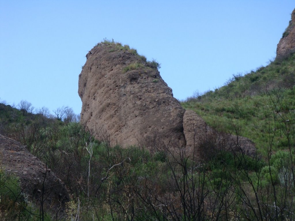 Los Terrones: la cabeza del gorila / Lautaro by Lautaro Tessi