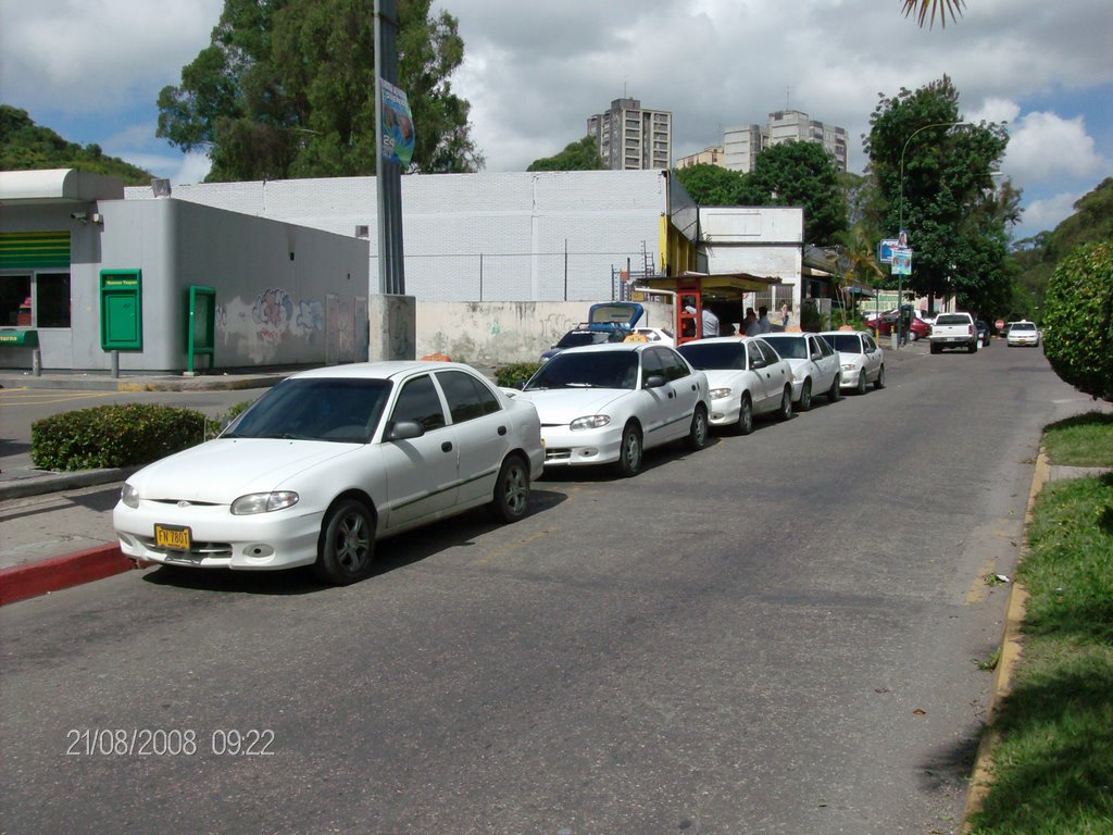 Linea Taxi Nuevos Teques by favikar