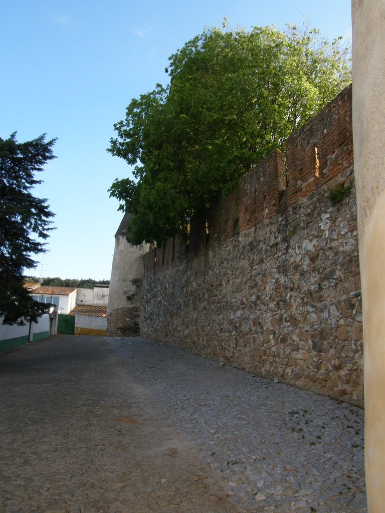 Muralhas e merlões do castelo (nascente) by Luís Seixas