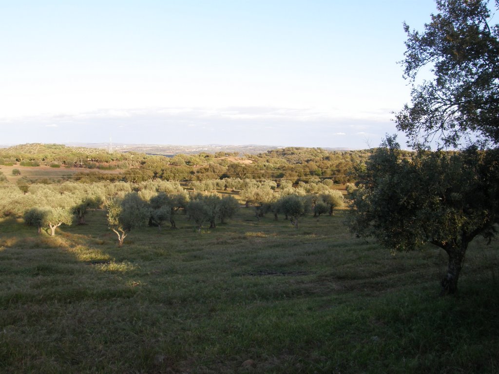 Vista da planície do Baixo Alentejo perto de Alvito by Luís Seixas