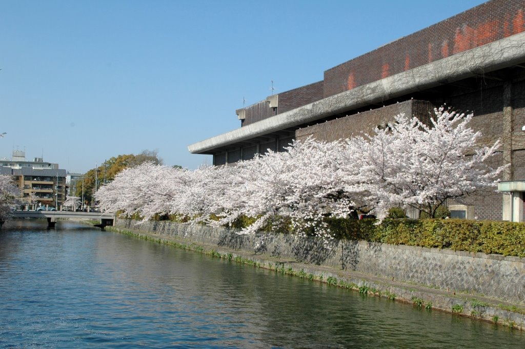 Kyoto City music art cultural arena by ayusann