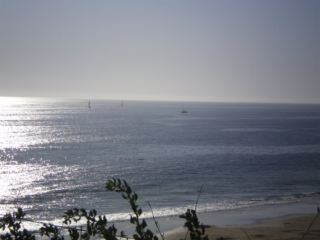 Peaceful and Sunny Pacific by Todd Stahlecker