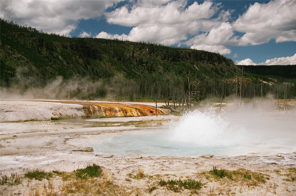 Spouter Geyser, Black Sand Basin by Steen Jensen