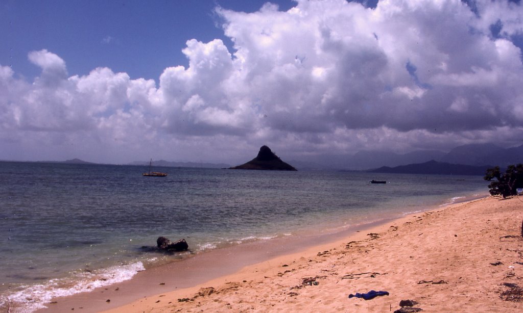 Chinaman's Hat Island by tommyj