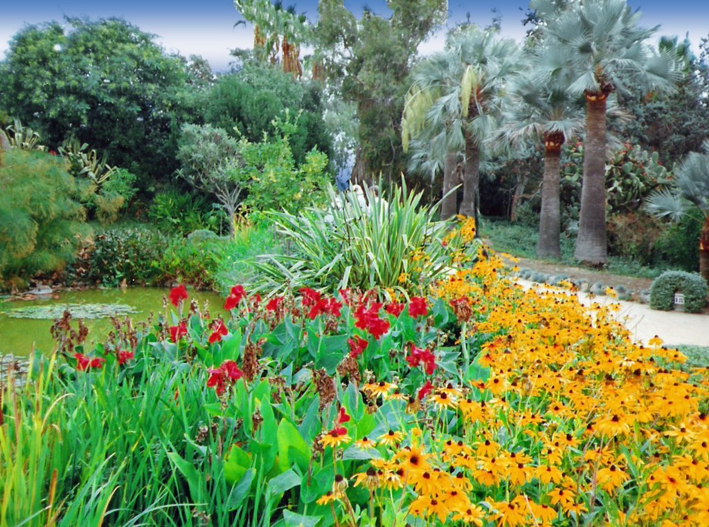 Botanic Garden Blanes by Topseee