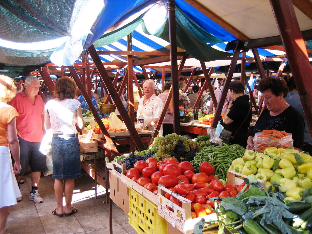 Zadar, Marketstands by E. O. Brachhold