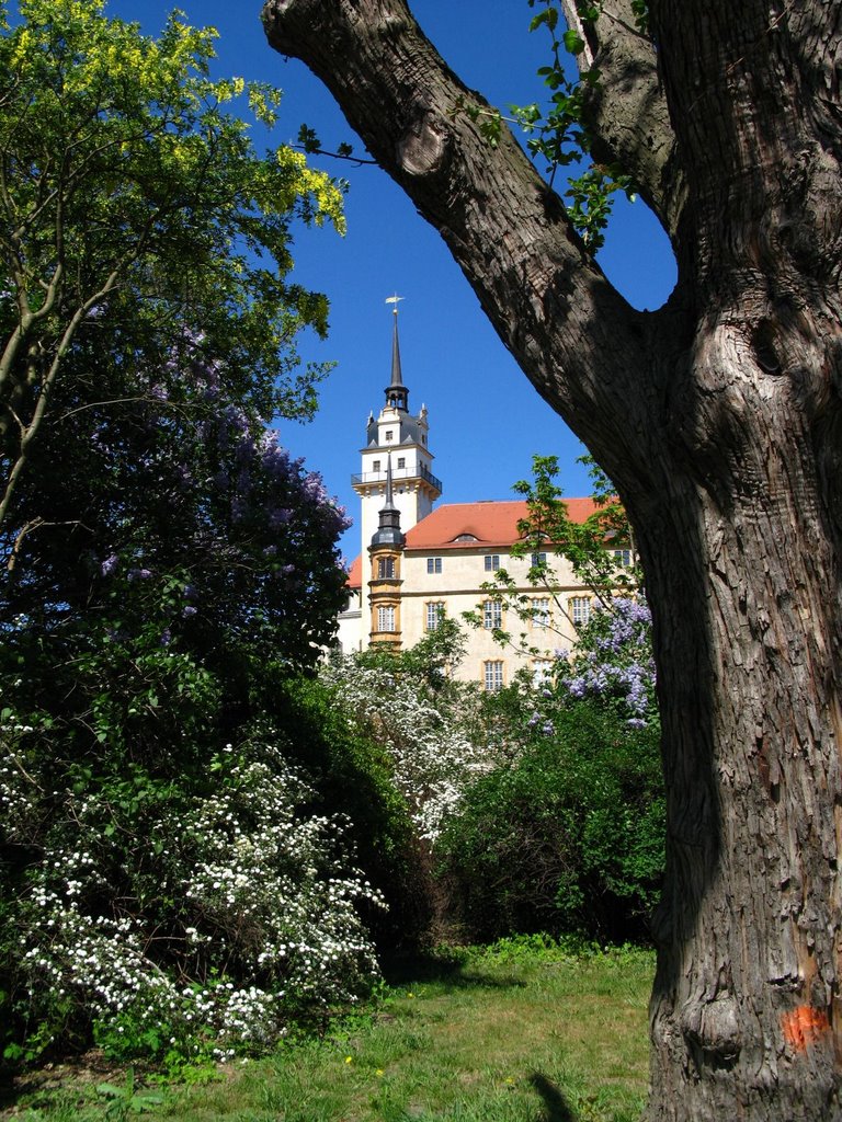 Schloss Hartenfels, Torgau by ddsoft