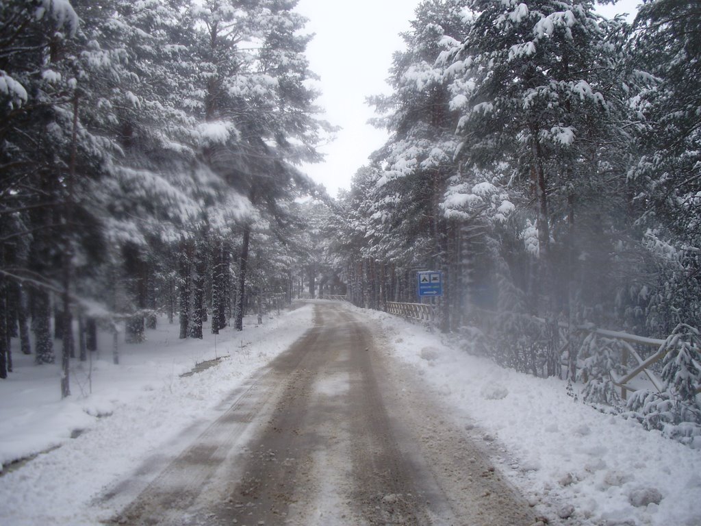 Carretera by BRONCHALES